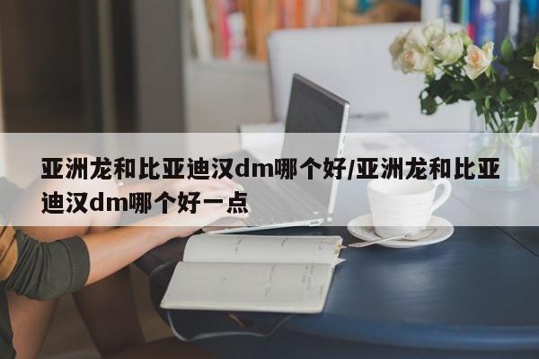亚洲龙和比亚迪汉dm哪个好/亚洲龙和比亚迪汉dm哪个好一点