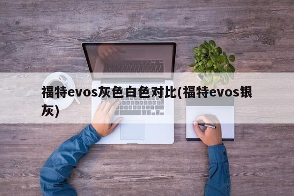 福特evos灰色白色对比(福特evos银灰)