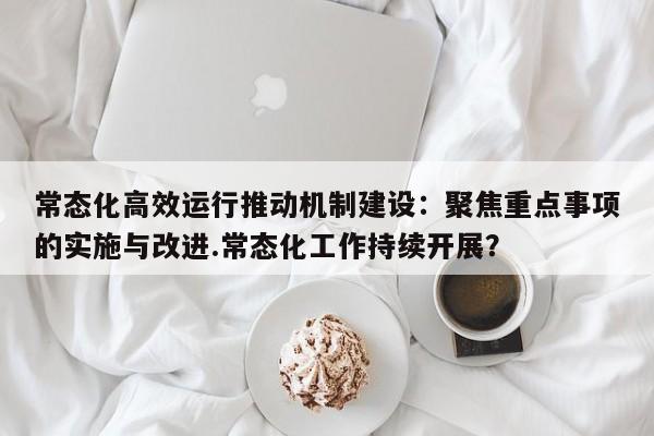 常态化高效运行推动机制建设:聚焦重点事项的实施与改进.常态化工作持续开展?