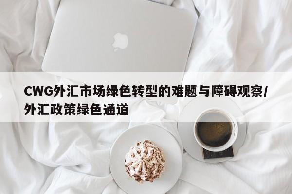 CWG外汇市场绿色转型的难题与障碍观察/外汇政策绿色通道