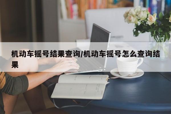 机动车摇号结果查询/机动车摇号怎么查询结果