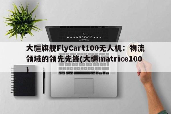 大疆旗舰FlyCart100无人机:物流领域的领先先锋(大疆matrice100)