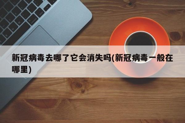 新冠病毒去哪了它会消失吗(新冠病毒一般在哪里)